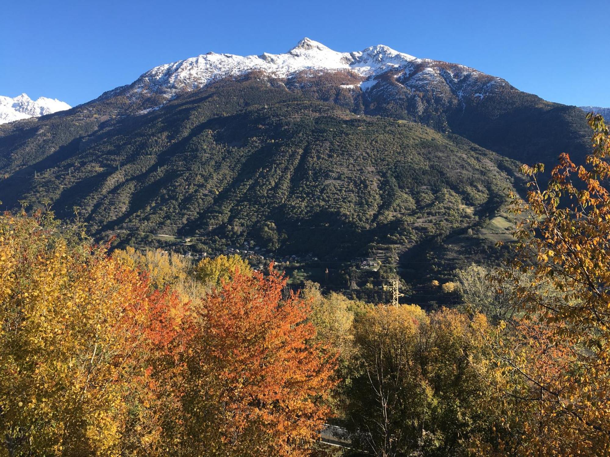 La Casa Del Bosco Leilighet Aosta Eksteriør bilde